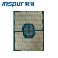 INSPUR 浪潮 英信服务器CPU处理器Intel Xeon 3204 (6C,85W,1.9GHz) 1颗散装