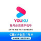 YOUKU 优酷 会员12个月