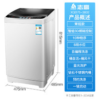CHIGO 志高 7.5公斤全自动洗衣机 小型迷你 家用租房波轮洗衣机 带甩干脱水 蓝光智能风干