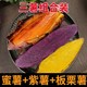 新鲜番薯地瓜板栗紫薯烟薯25号糖心蜜薯3/9斤澳农卡