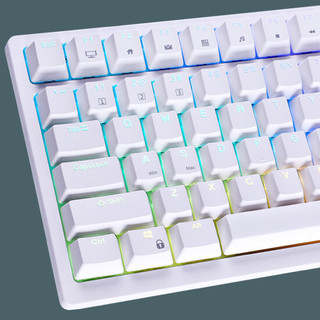 ROYAL KLUDGE RK98 有线机械键盘 100键 白色 茶轴