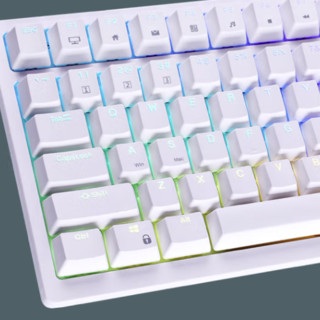 ROYAL KLUDGE RK98 有线机械键盘 100键 青轴 白色