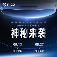 Pico 4 畅玩版 VR一体机 256GB 