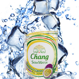 Chang 象牌 苏打水 百香果味 325ml*24瓶*2箱