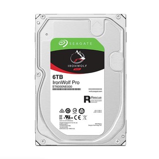 SEAGATE 希捷 酷狼IronWolf Pro系列 3.5英寸 NAS硬盘 6TB（7200rpm、256MB）ST6000NE000