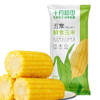 SHI YUE DAO TIAN 十月稻田 五常鲜食玉米 220g*2袋
