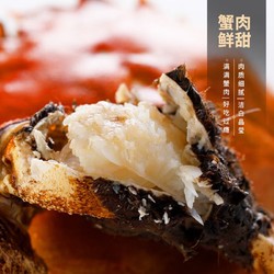 上麟记 大闸蟹鲜活螃蟹现货 全母蟹2.3-2.6两 8只 去绳足重 海鲜礼盒国庆礼品