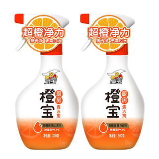 vewin 威王 橙宝厨房清洁剂 300g*2瓶