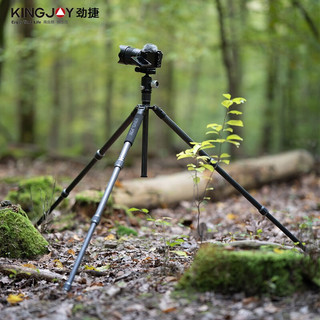 劲捷（KINGJOY）G55C单反相机三脚架便携摄影摄像支架手机微单支架碳纤维佳能尼康