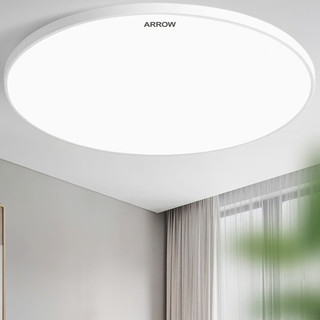 ARROW 箭牌照明 LED三防卧室灯 15W 白光 23cm 白玉款