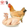 温氏 供港三黄鸡1.2kg 农家土鸡慢养走地鸡整只鸡 红烧白切盐焗煲汤食材 散养110天以上