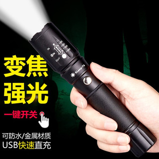 SHENYU 神鱼 强光远射手电筒可充电 LED户外家用USB直充迷你便捷防水防身小型照明灯SY1031