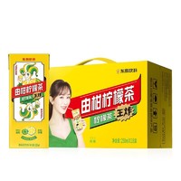 东鹏 特饮 由柑柠檬茶250ml*18盒