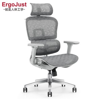 PLUS会员：Ergojust 爱高佳 居家办公室电脑椅人体工学椅 R9灰色+挂衣架
