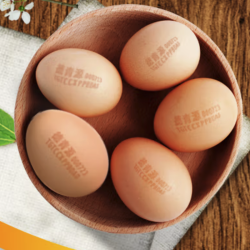 dqyecological德青源大鸡大利a级鲜鸡蛋64枚32kg礼盒装