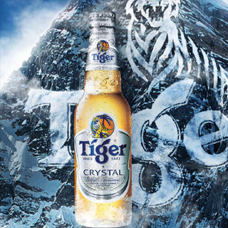 TIGER 虎牌 晶纯啤酒 300ml*6瓶