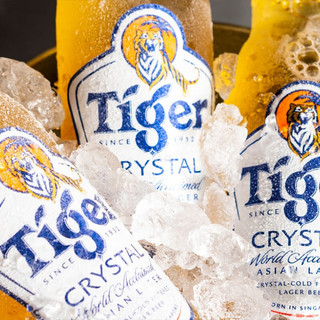 TIGER 虎牌 晶纯啤酒 300ml*6瓶