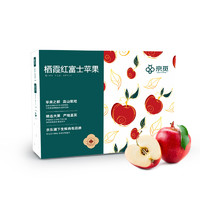 京觅 栖霞红富士苹果 单果230g+ 12个 3.2kg 礼盒装