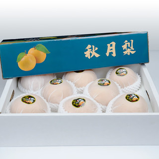 菲农 冰糖秋月梨 单果350-450g 2.8kg