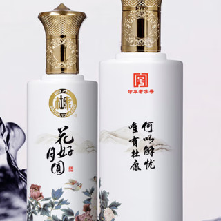 BAISHUIDUKANG 白水杜康 花好月圆 53%vol 清香型白酒 500ml*2瓶 礼盒装