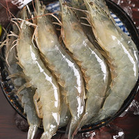 PLUS会员：澳角大厝 青岛大虾单只15-18厘米大虾 1斤