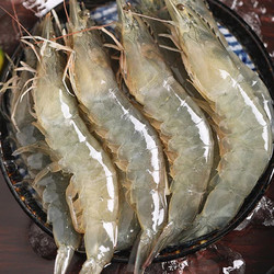 澳角大厝 青岛大虾单只15-18厘米大虾 1斤（约20-25只）