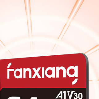 FANXIANG 梵想 K1 高速专业版 micro-SD存储卡 32GB（UHS-I、V30、U3、A2）