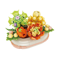 佳奇JAKI 梦幻夜光多肉小盆栽系列 JK2721 掌心流年