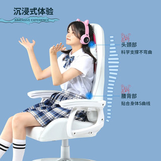 QUAN FENG 泉枫 电竞椅人体工学椅电脑椅办公椅 S244-01白色