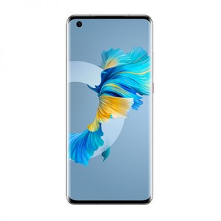 TD TECH 鼎桥 M40 5G手机 8GB+256GB 秘银色