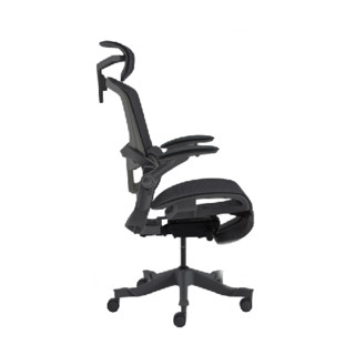 YANXUAN 网易严选 探险家系列 D1 星舰3D腰靠电脑椅 黑色