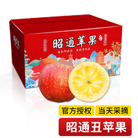 昭通苹果 2022年现摘云南昭通野生丑苹果9斤（90-95mm） 冰糖心稀有水果新鲜脆甜大果礼盒整箱