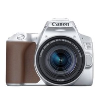 GLAD 佳能 Canon）EOS 250D单反数码相机 +18-55mm IS STM 镜头 银色套机（200D二代200DII同款海外版）
