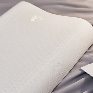 20点：梦洁家纺 泰国进口乳胶枕头一对装