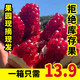  兰和果园 突尼斯软籽石榴5斤单果250g起当季四川会理新鲜孕妇水果　