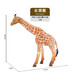 PLUS会员：贝可麦拉 仿真动物模型 长颈鹿