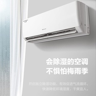 GREE 格力 天丽系列1.5匹 变频新3级能效  节能省电自清洁冷暖挂机