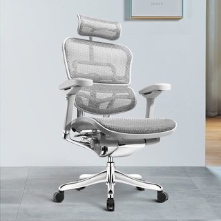 金豪E 人体工学电脑椅 灰框-银白色
