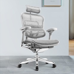 Ergonor 保友办公家具 金豪E 人体工学电脑椅 灰框-银白色