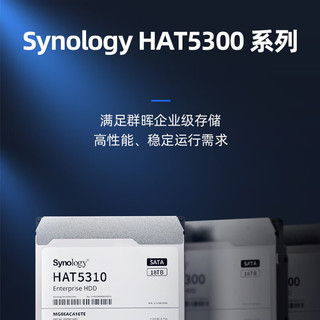 群晖（Synology） 企业级NAS专用机械硬盘256MB 7200RPM SATA接口3.5英寸 HAT5300-4TB