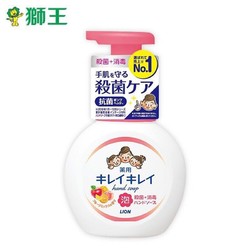 LION 狮王 趣净水果香型泡沫洗手液 250ml