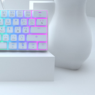 Readson 61键 2.4G蓝牙 双模无线机械键盘 白色 青轴 RGB