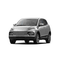 大运汽车 悦虎 22款 改款 300km 两驱 贵宾版 30.66kWh三元锂