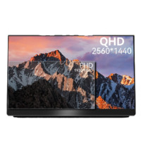 EHOMEWEI 一泓微 Q1g 15.6英寸 IPS G-sync FreeSync 显示器（2560×1440、240Hz、96%DCI-P3）