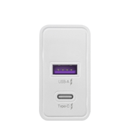 Panasonic 松下 手机充电器 USB-A/Type-C 30W 白色+Type-C转Lightning 数据线 PVC 1m 白色