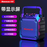 Newmine 纽曼 蓝牙音箱户外大音量广场舞音响家用重低音手提便携式K歌话筒