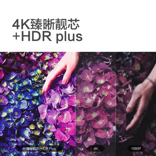 PHILIPS 飞利浦 电视65英寸全面屏语音遥控2 16G网络液晶平板电视机7295