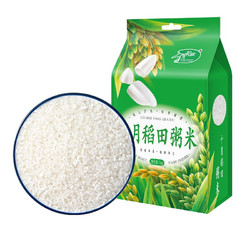 SHI YUE DAO TIAN 十月稻田 粥米 1kg