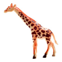 Wenno 小长颈鹿 动物模型