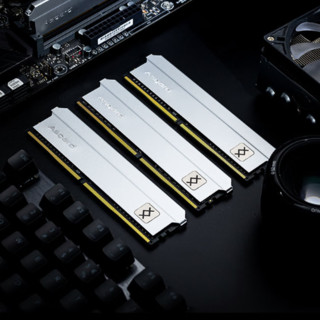 Asgard 阿斯加特 弗雷系列 钛银甲 DDR4 4000MHz 台式机内存 马甲条 白色 16GB 8GBx2